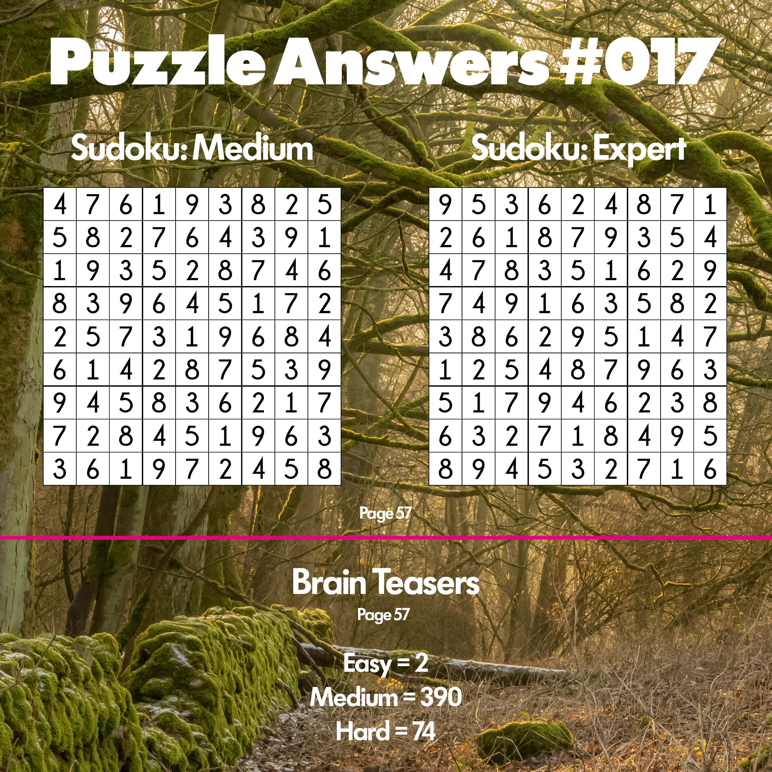 Issue #017 Answers