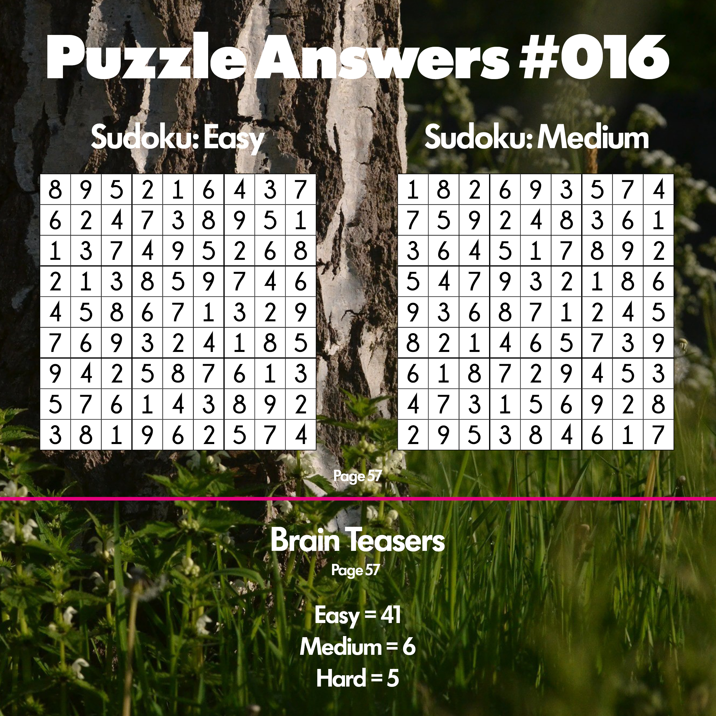 Issue #016 Answers