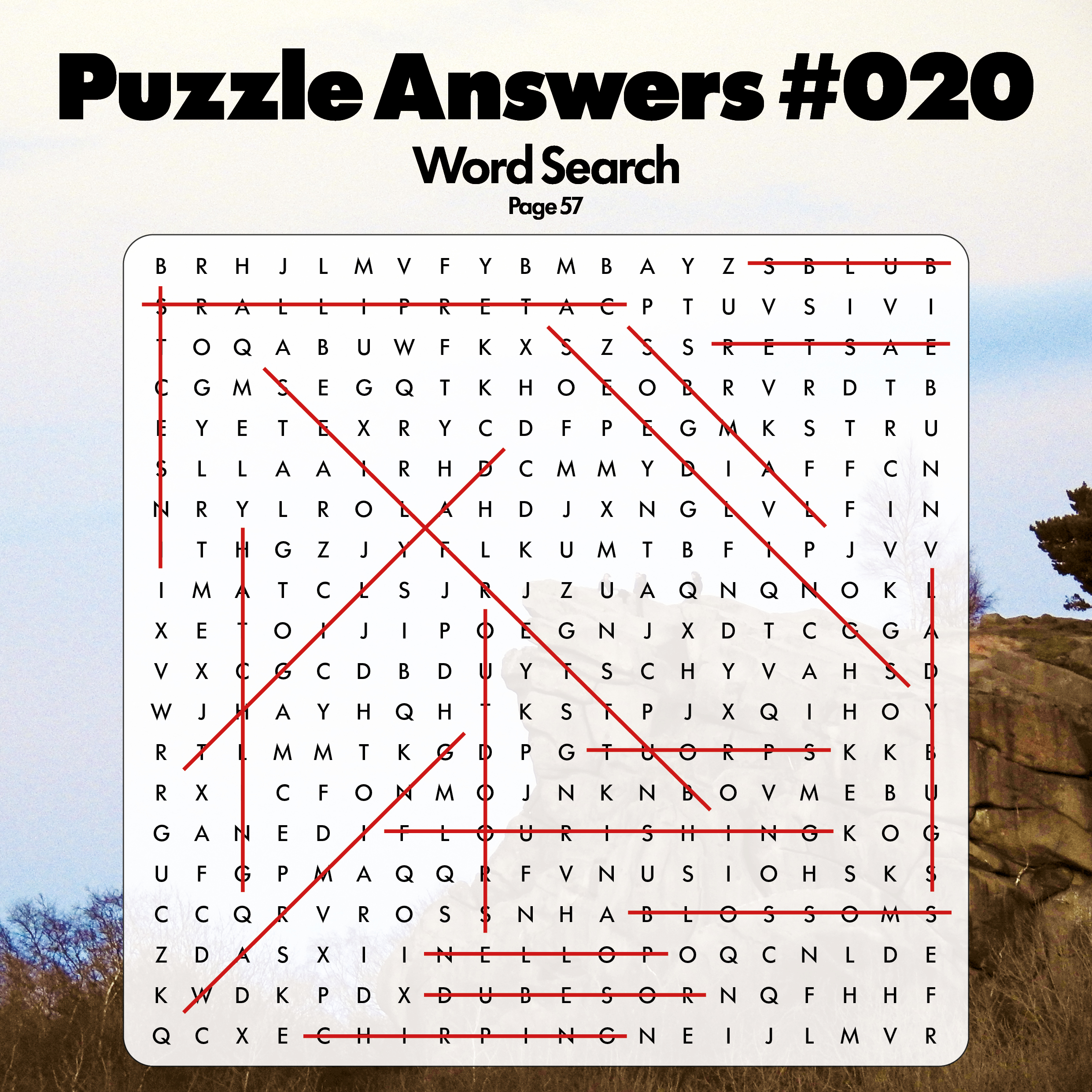 Issue #020 Answers
